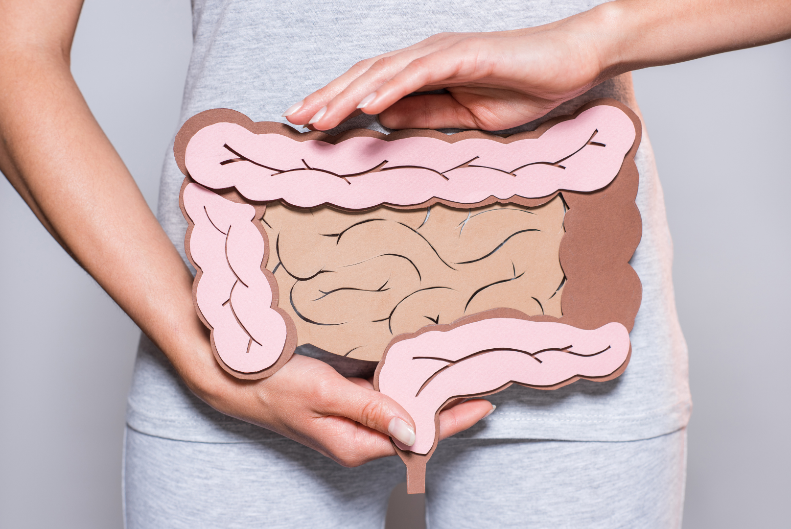 Module B: Intestinal